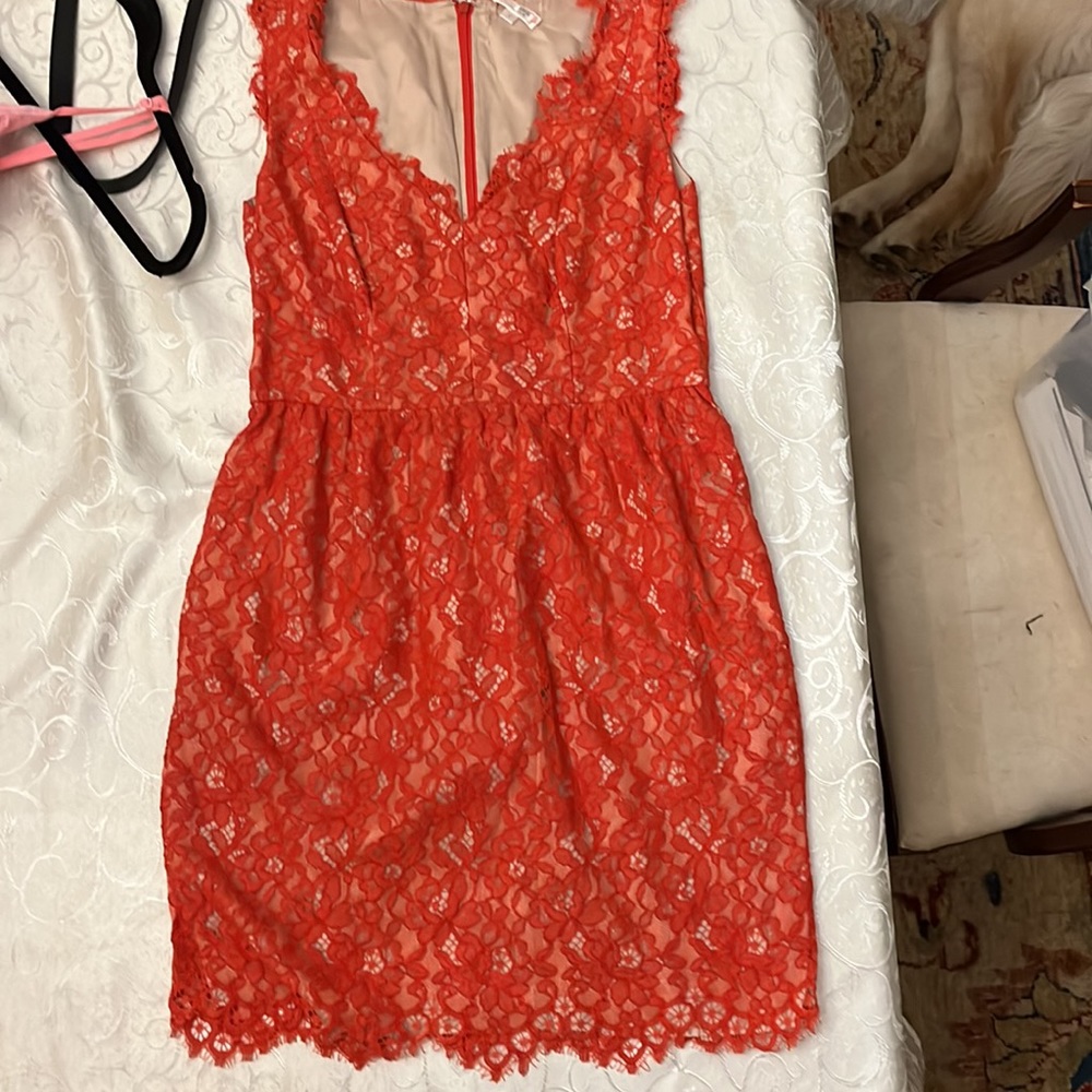 Shoshanna Lace Sierra Dress 4 Womens Sweetheart